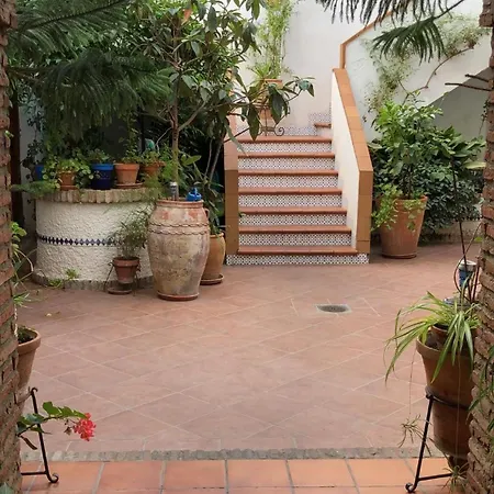 Апартаменти Vivienda Turistica En Tipico Patio Cordobes San Basilio Кордова