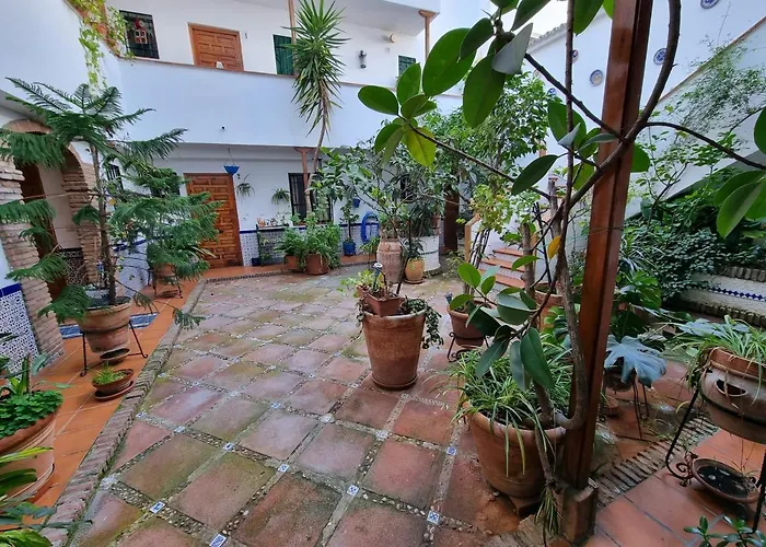 Vivienda Turistica En Tipico Patio Cordobes San Basilio *