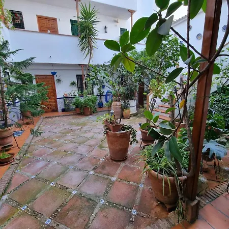 Vivienda Turistica En Tipico Patio Cordobes San Basilio *