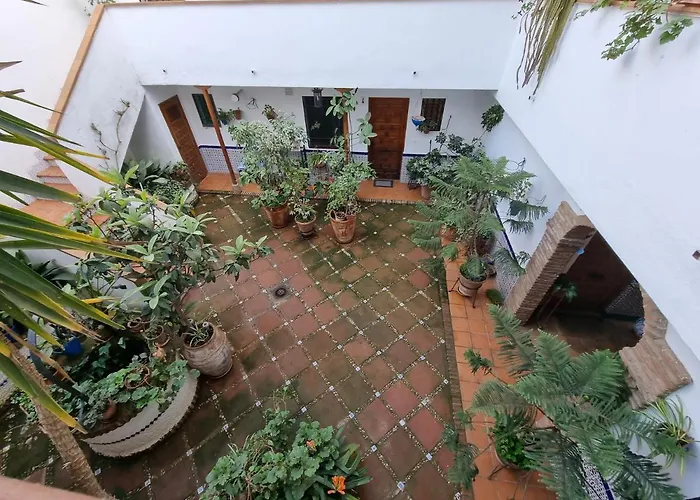アパート Vivienda Turistica En Tipico Patio Cordobes San Basilio *
